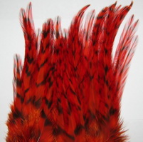 rooster saddle  grizzly hot orange 